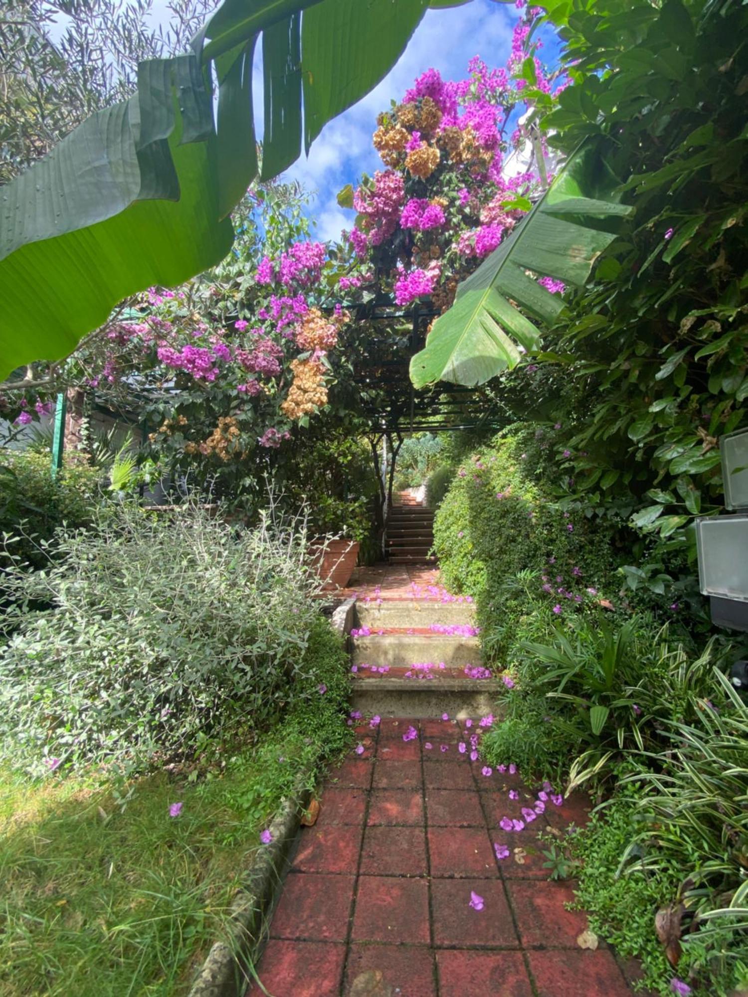 Apartamento Sunny Garden Opatija Exterior foto